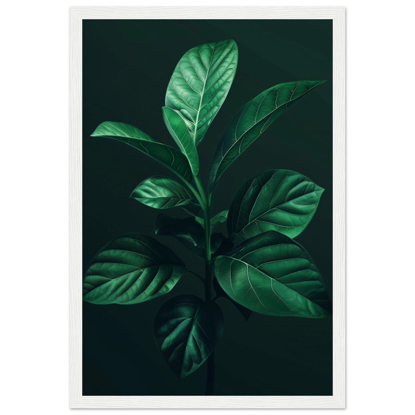 Affiche Plante Verte ( 30x45-cm-Bois-blanc)