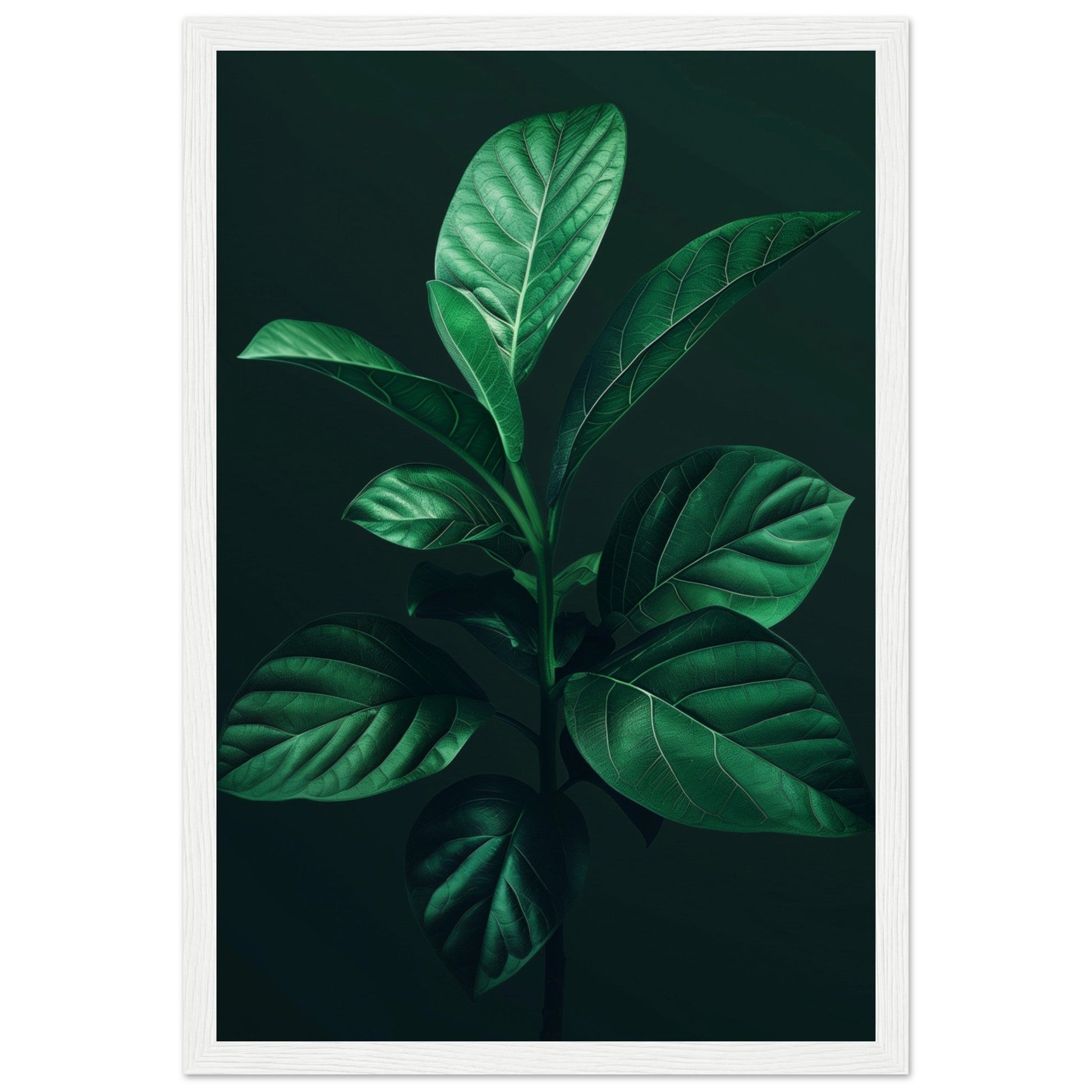 Affiche Plante Verte ( 30x45-cm-Bois-blanc)