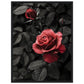 Affiche Rose Et Noir ( 45x60-cm-Bois-noir)