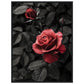 Affiche Rose Et Noir ( 60x80-cm-Bois-noir)