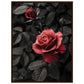 Affiche Rose Et Noir ( 60x80-cm-Bois-foncé)