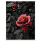 Affiche Rose Et Noir ( 60x80-cm-Bois-blanc)