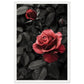 Affiche Rose Et Noir ( 30x45-cm-Bois-blanc)