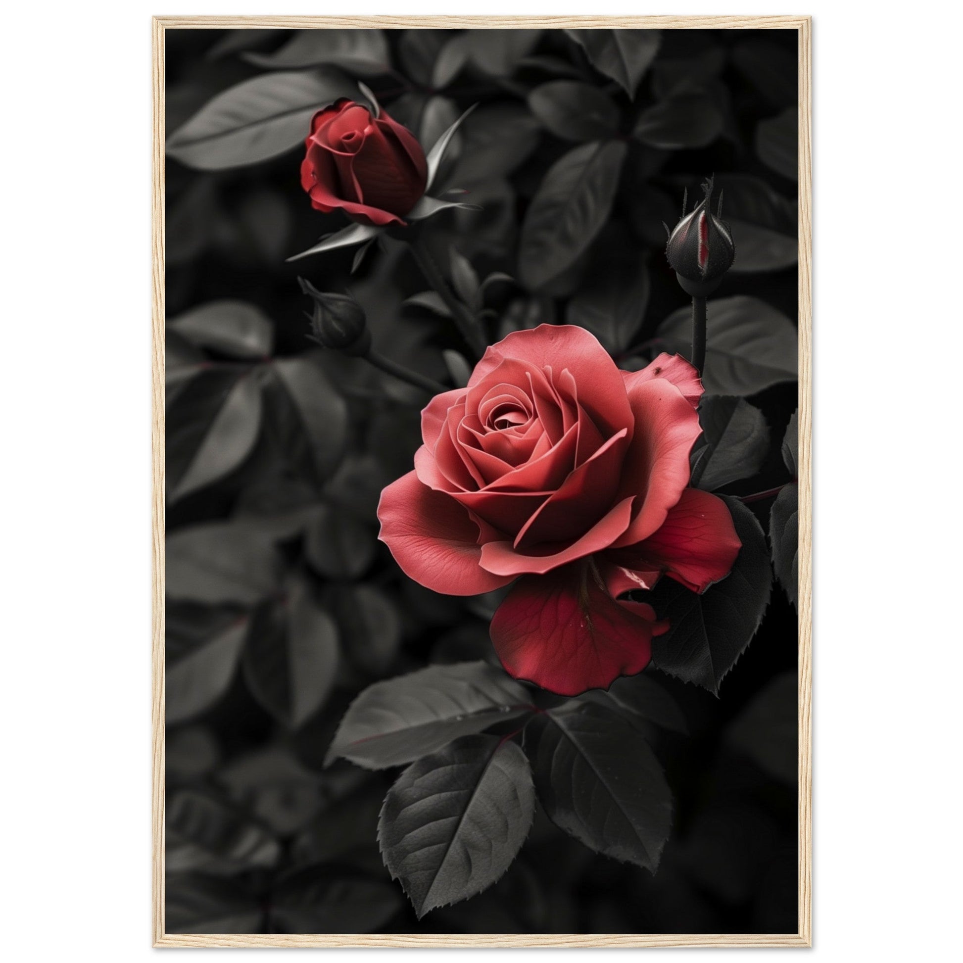 Affiche Rose Et Noir ( 70x100-cm-Bois-clair)