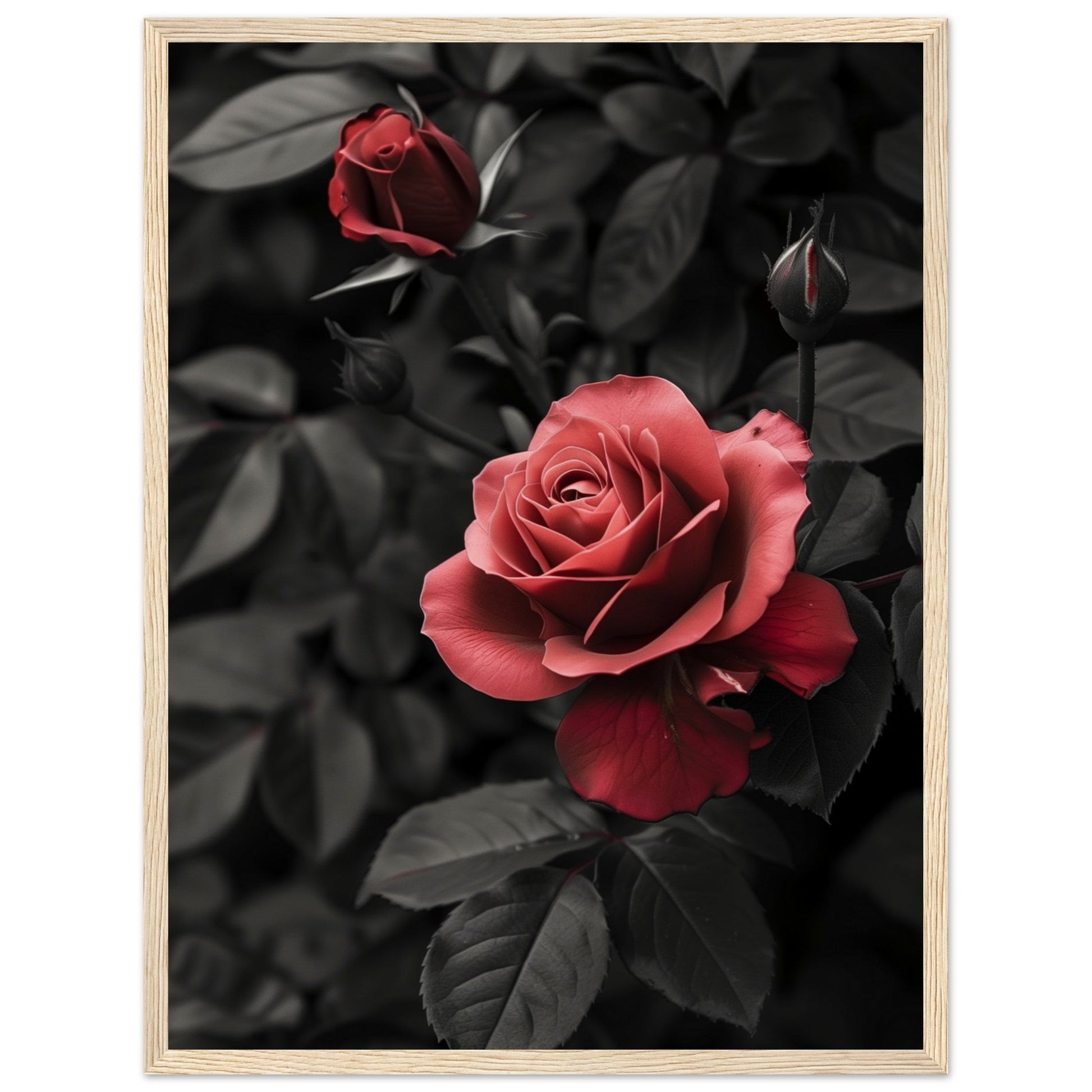 Affiche Rose Et Noir ( 45x60-cm-Bois-clair)