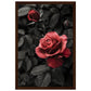 Affiche Rose Et Noir ( 30x45-cm-Bois-foncé)