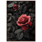 Affiche Rose Et Noir ( 70x100-cm-Bois-foncé)