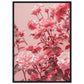 Affiche Rose Poudré ( 50x70-cm-Bois-noir)