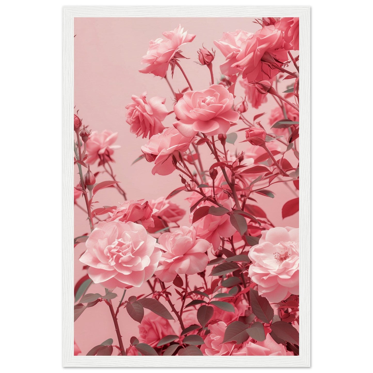 Affiche Rose Poudré ( 30x45-cm-Bois-blanc)