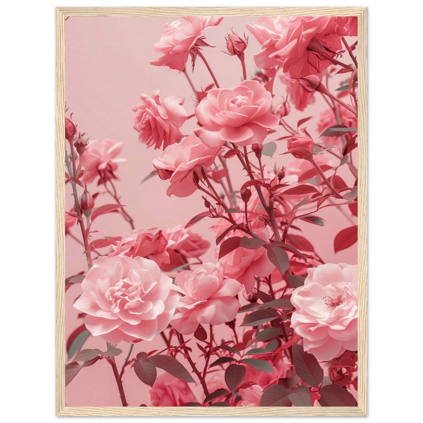 Affiche Rose Poudré ( 45x60-cm-Bois-clair)