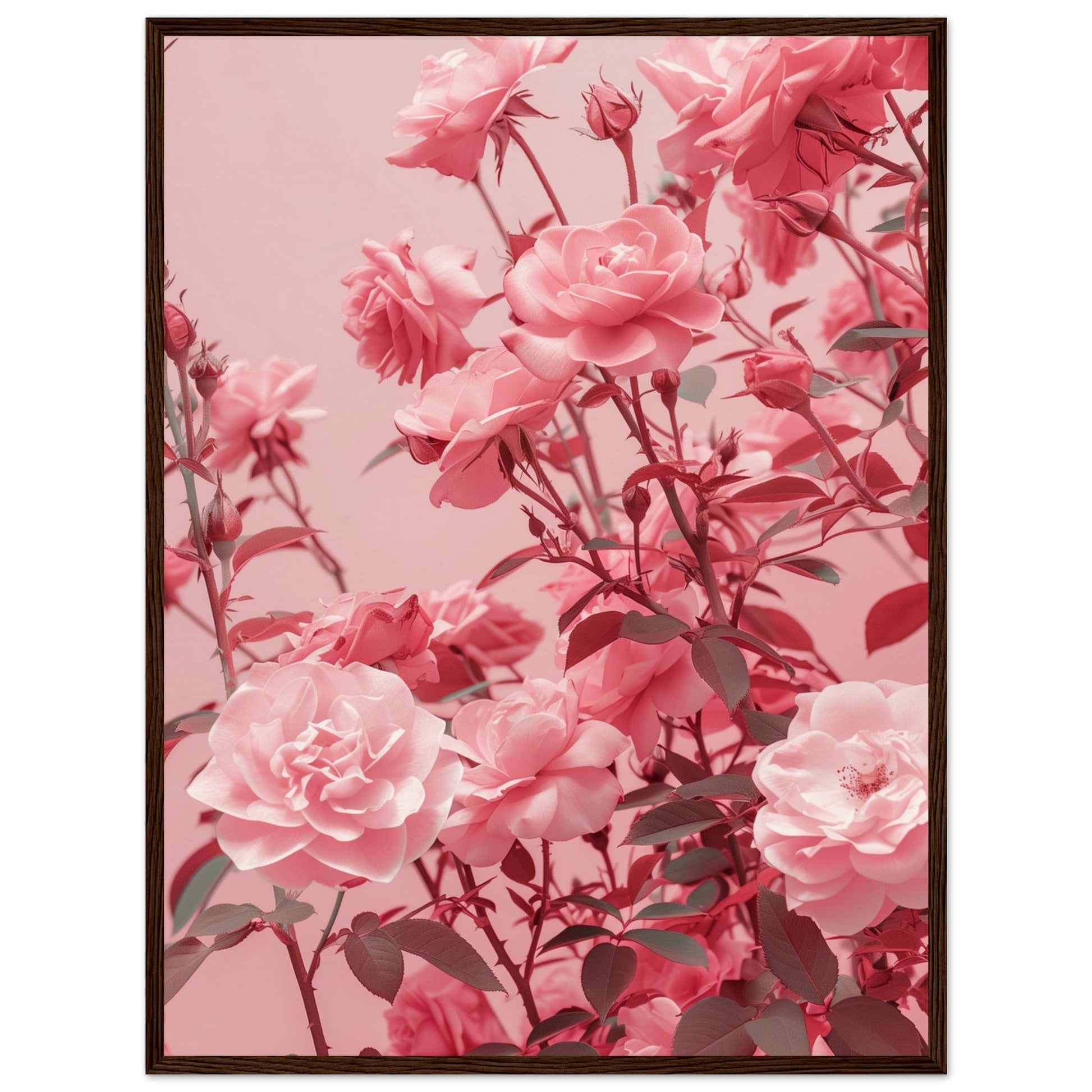 Affiche Rose Poudré ( 60x80-cm-Bois-foncé)