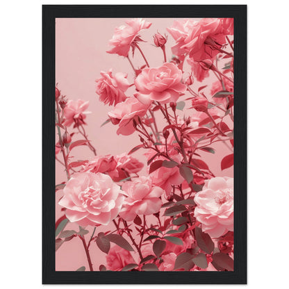 Affiche Rose Poudré ( 21x29.7-cm-Bois-noir)