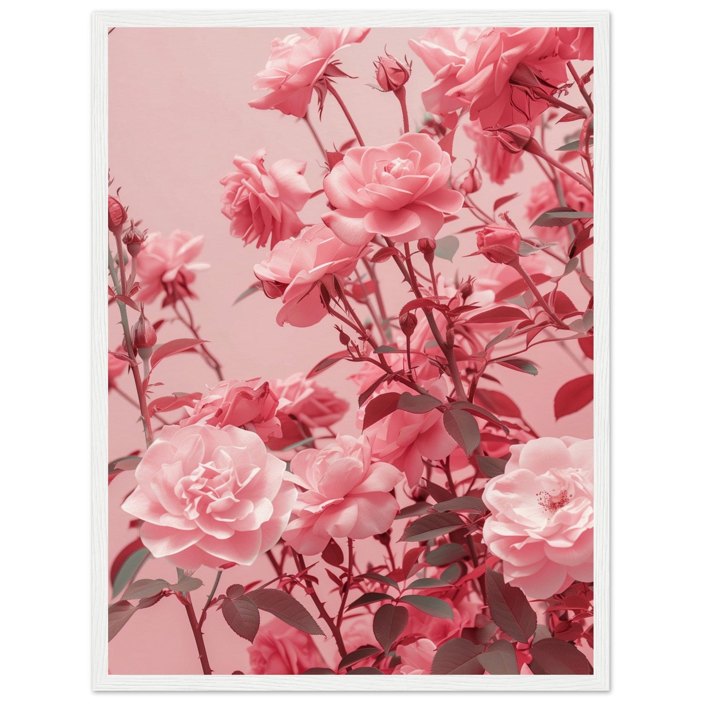 Affiche Rose Poudré ( 45x60-cm-Bois-blanc)