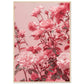 Affiche Rose Poudré ( 70x100-cm-Bois-clair)