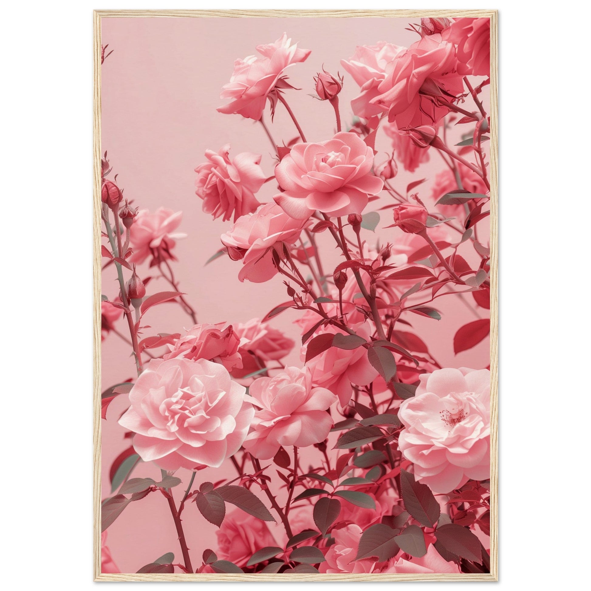 Affiche Rose Poudré ( 70x100-cm-Bois-clair)