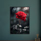 Affiche Rose Rouge ( )