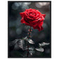 Affiche Rose Rouge ( 45x60-cm-Bois-noir)