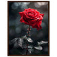 Affiche Rose Rouge ( 45x60-cm-Bois-foncé)