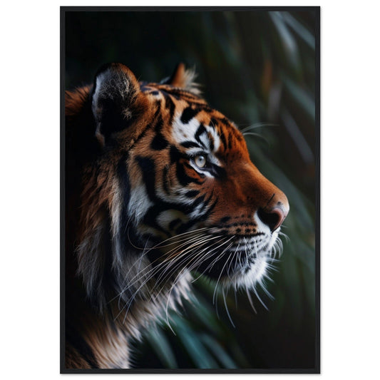 Affiche Tigre ( 70x100-cm-Bois-noir)