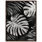 Affiche Tropical Noir et Blanc ( 60x80-cm-Bois-foncé)