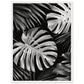 Affiche Tropical Noir et Blanc ( 45x60-cm-Bois-blanc)