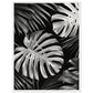 Affiche Tropical Noir et Blanc ( 60x80-cm-Bois-blanc)