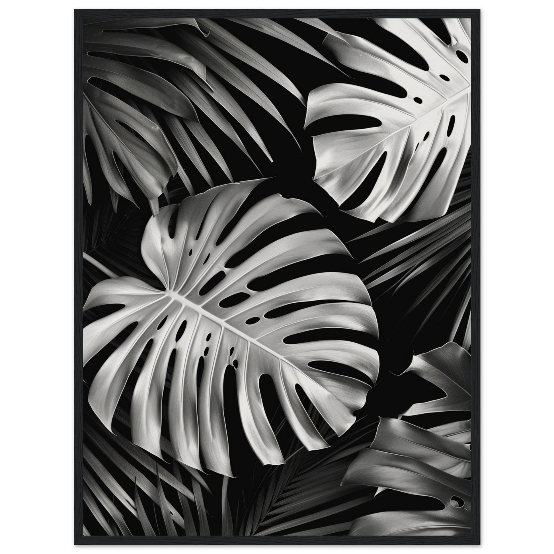 Affiche Tropical Noir et Blanc ( 60x80-cm-Bois-noir)