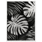 Affiche Tropical Noir et Blanc ( 50x70-cm-Bois-blanc)