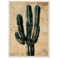 Affiche Vintage Cactus ( 50x70-cm-Bois-clair)