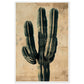 Affiche Vintage Cactus ( 60x90-cm-Bois-blanc)