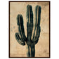 Affiche Vintage Cactus ( 50x70-cm-Bois-foncé)