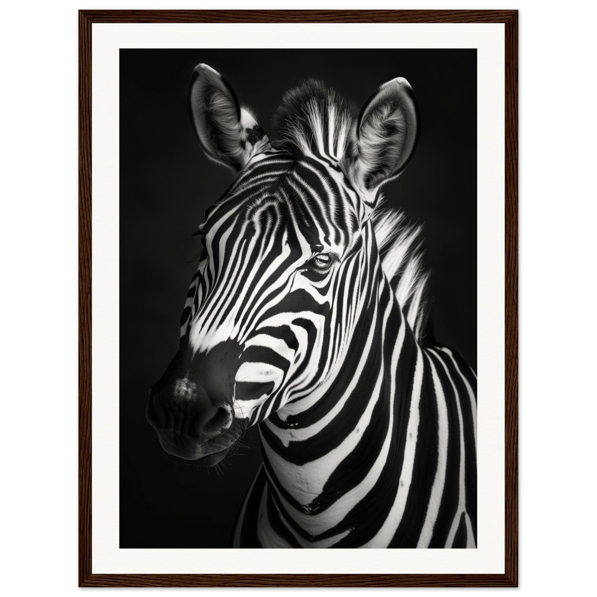 Poster Animaux Noir Et Blanc ( 45x60-cm-Bois-foncé)