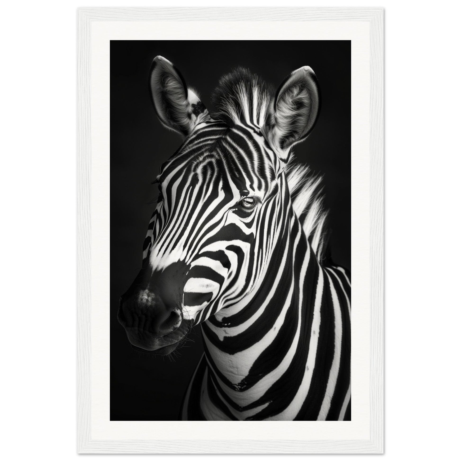 Poster Animaux Noir Et Blanc ( 30x45-cm-Bois-blanc)