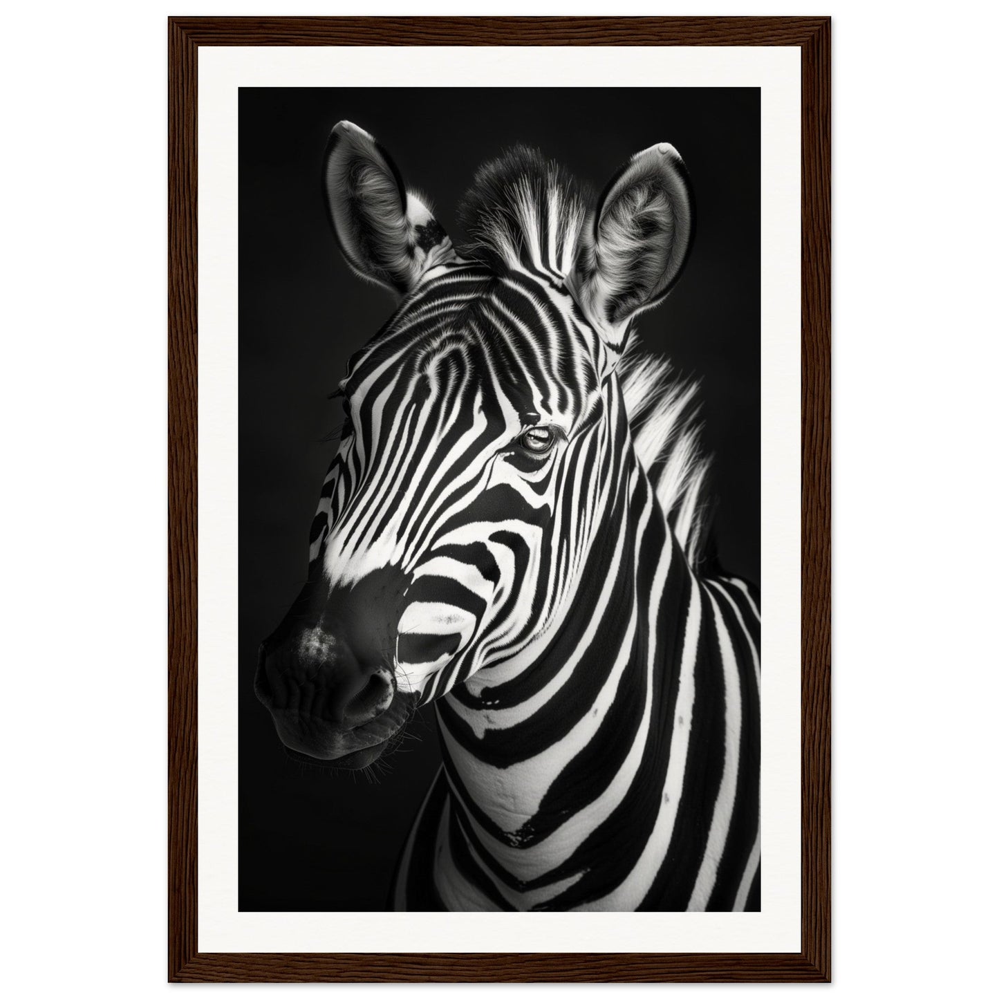 Poster Animaux Noir Et Blanc ( 30x45-cm-Bois-foncé)