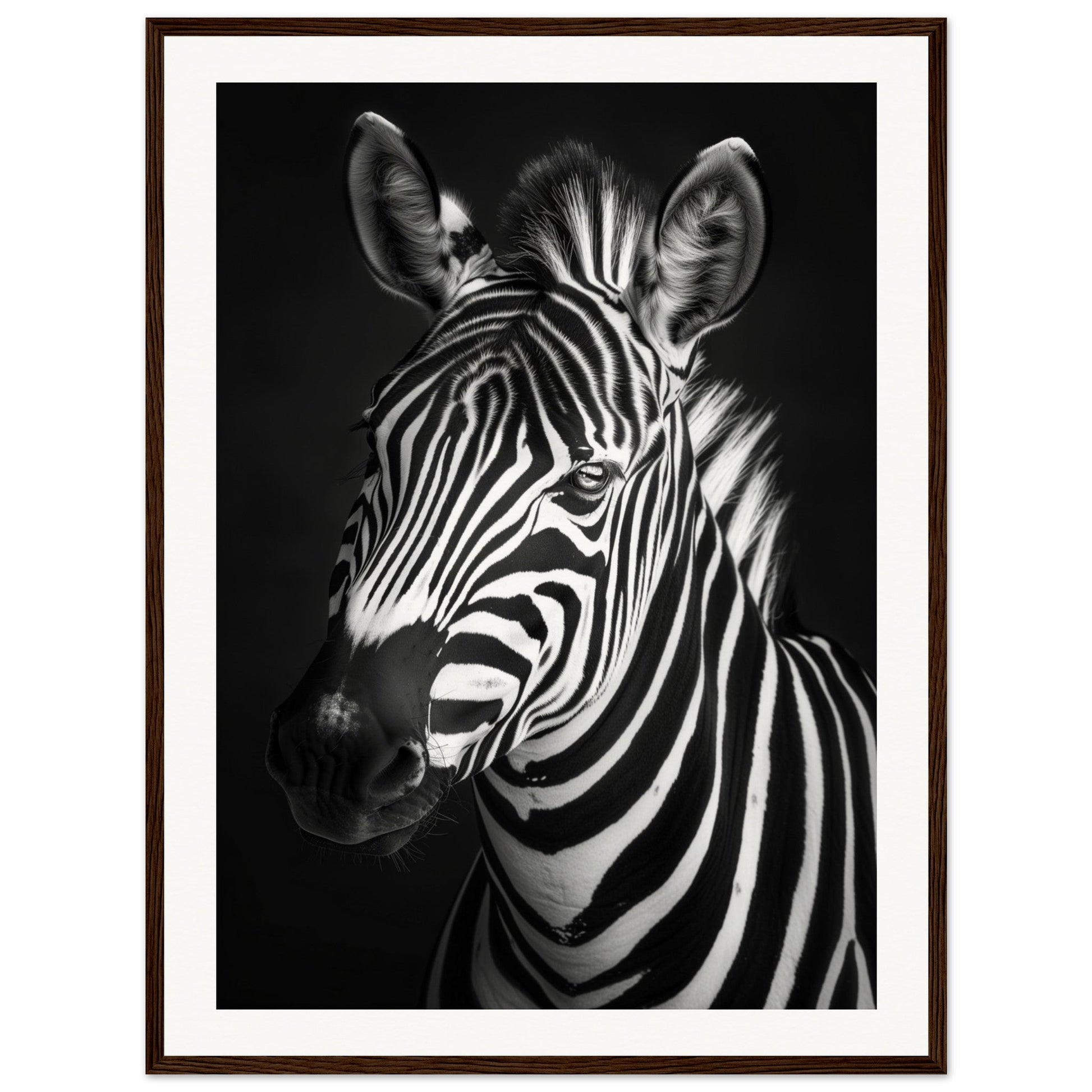 Poster Animaux Noir Et Blanc ( 60x80-cm-Bois-foncé)