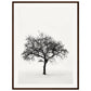 Poster Arbre Noir et Blanc ( 60x80-cm-Bois-foncé)