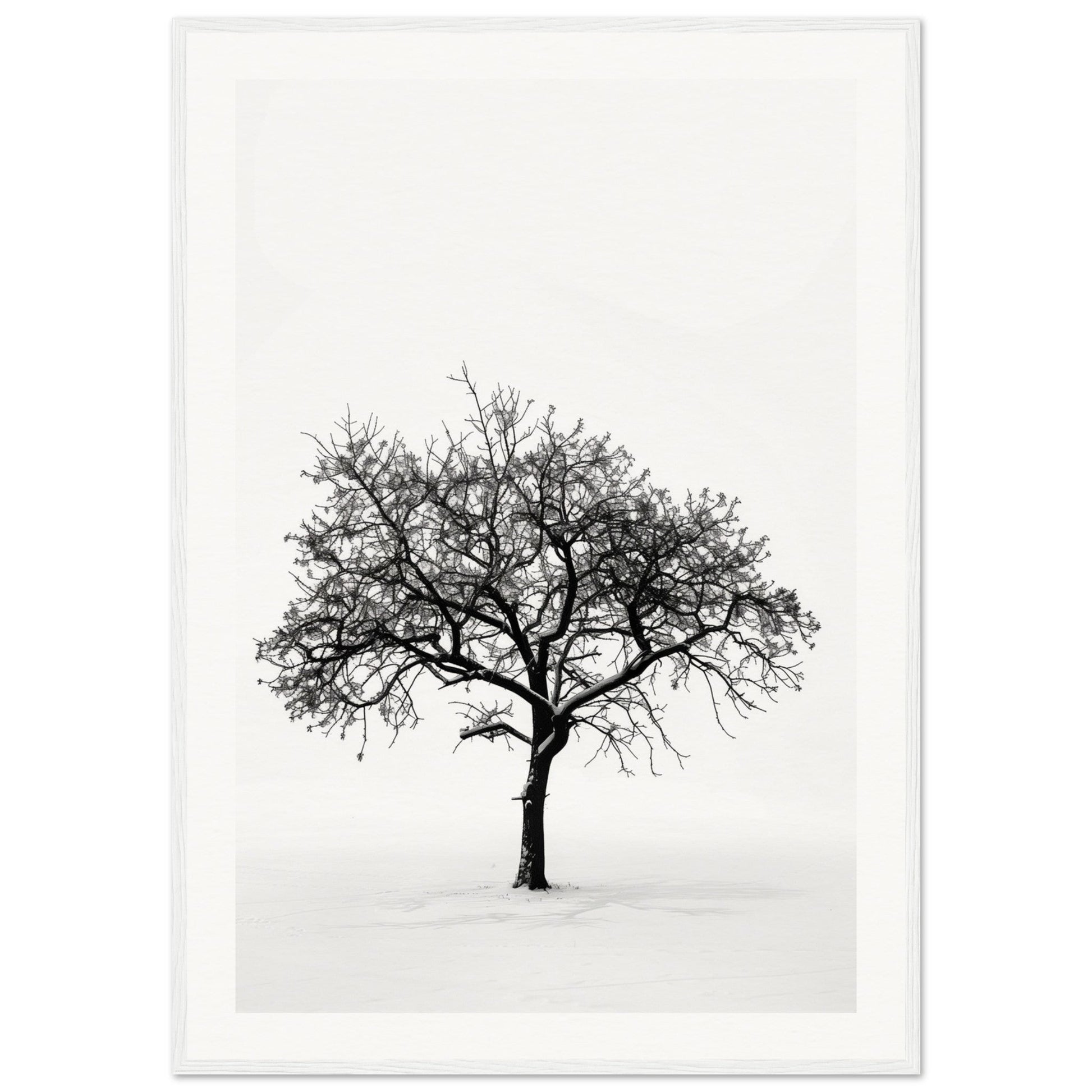 Poster Arbre Noir et Blanc ( 70x100-cm-Bois-blanc)