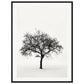 Poster Arbre Noir et Blanc ( 60x80-cm-Bois-noir)