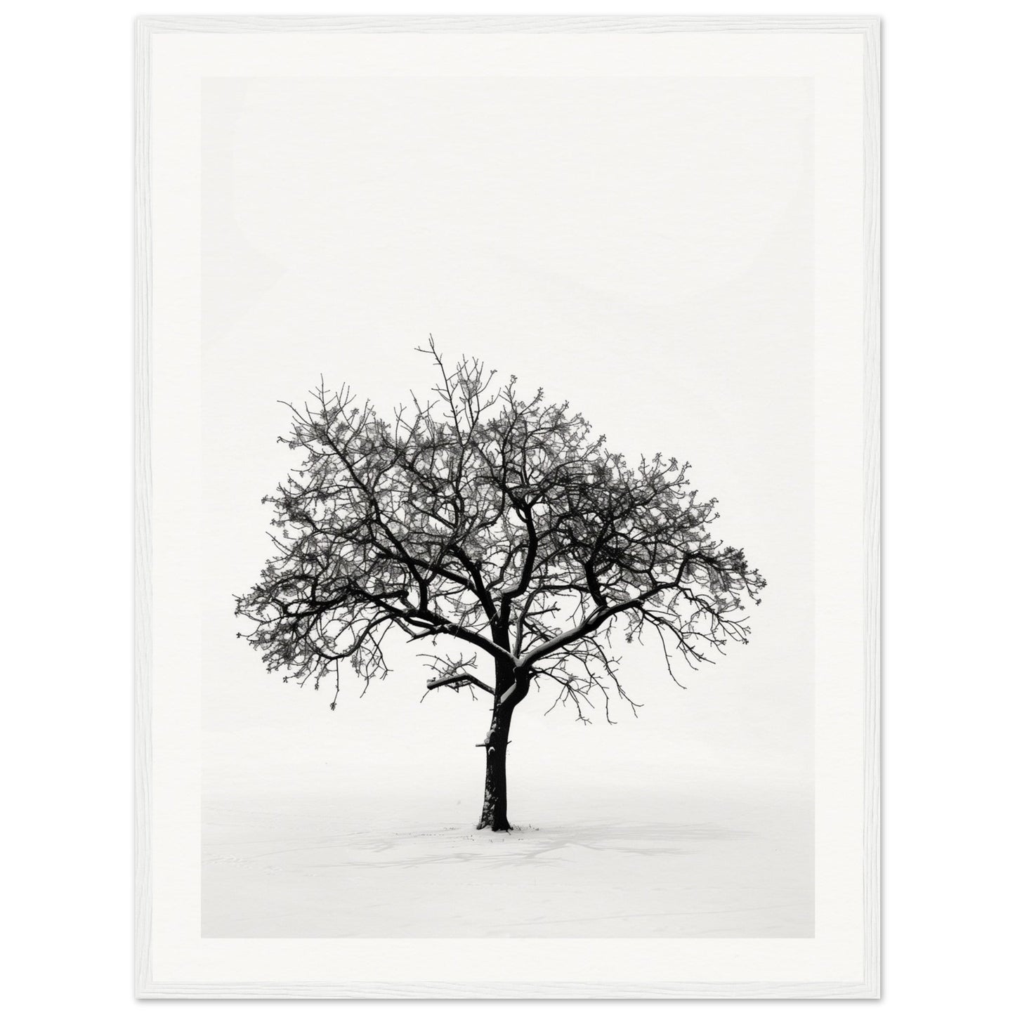 Poster Arbre Noir et Blanc ( 60x80-cm-Bois-blanc)