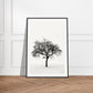 Poster Arbre Noir et Blanc ( )