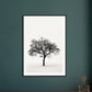 Poster Arbre Noir et Blanc ( )