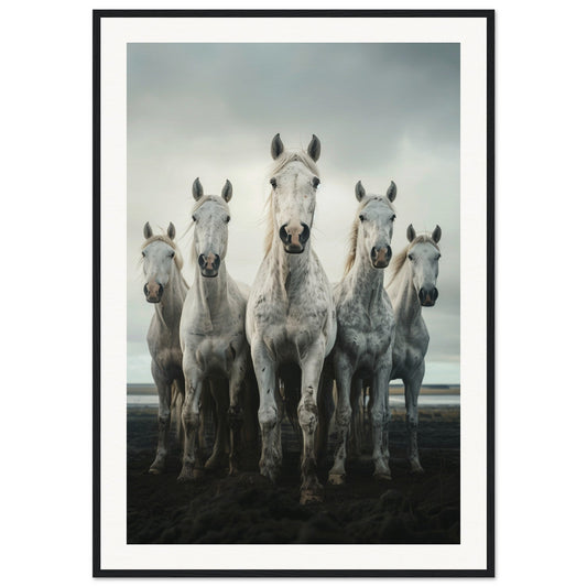 Poster Cheval Camargue ( 70x100-cm-Bois-noir)