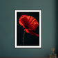 Poster Coquelicot Rouge ( )