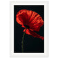 Poster Coquelicot Rouge ( 30x45-cm-Bois-blanc)