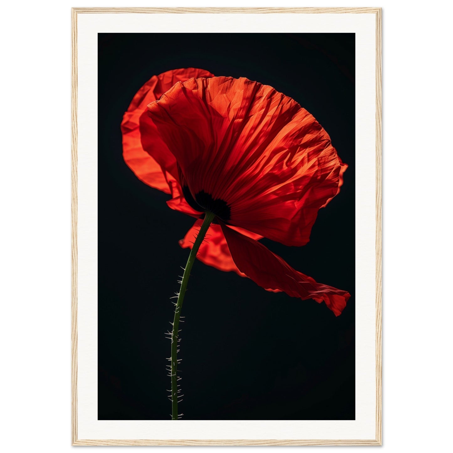 Poster Coquelicot Rouge ( 70x100-cm-Bois-clair)