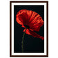 Poster Coquelicot Rouge ( 30x45-cm-Bois-foncé)