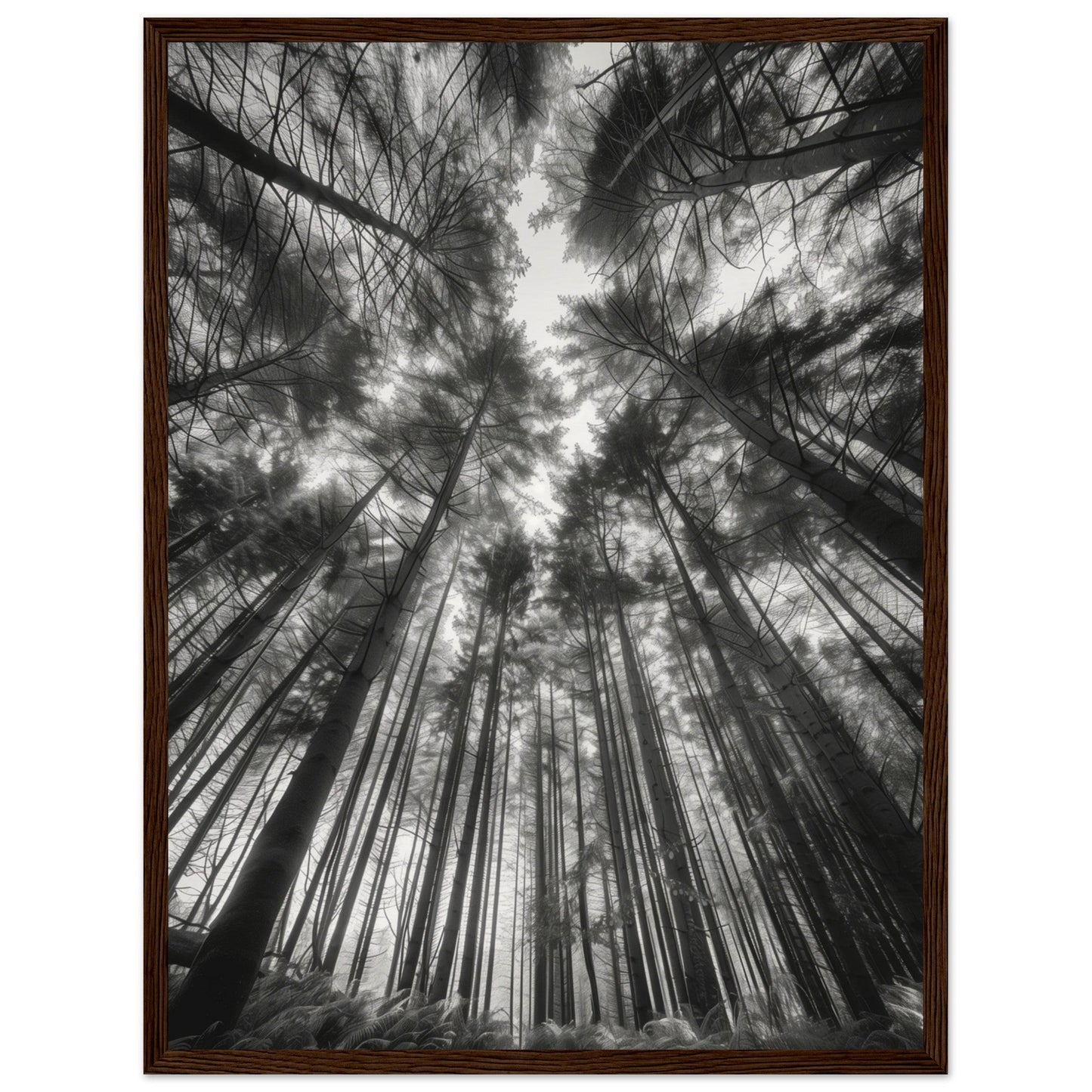 Poster Forêt Noir et Blanc ( 45x60-cm-Bois-foncé)