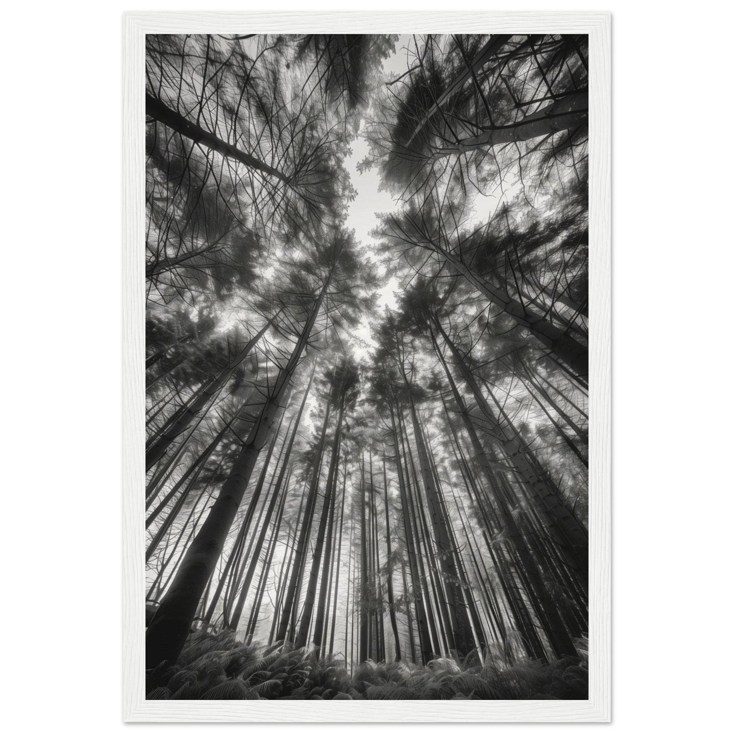 Poster Forêt Noir et Blanc ( 30x45-cm-Bois-blanc)