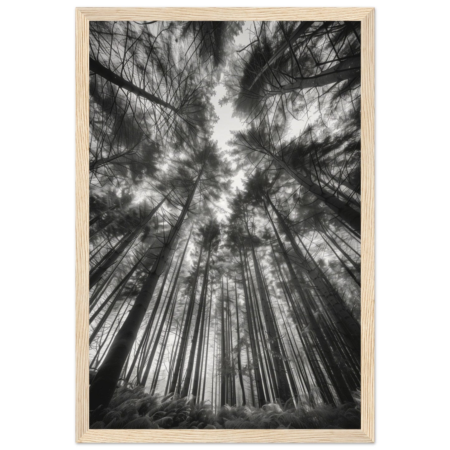 Poster Forêt Noir et Blanc ( 30x45-cm-Bois-clair)