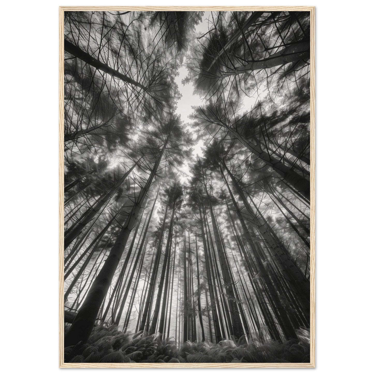 Poster Forêt Noir et Blanc ( 70x100-cm-Bois-clair)